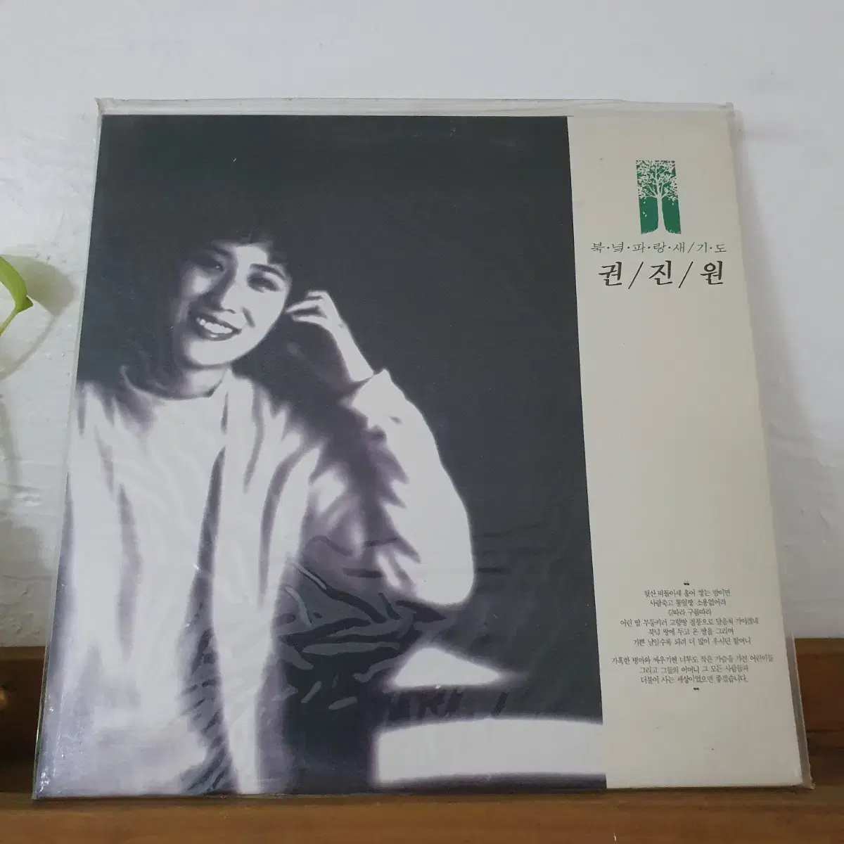 미개봉  권진원 LP  1992    권진원유일앨범.